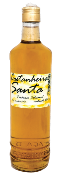 Castanheira santa